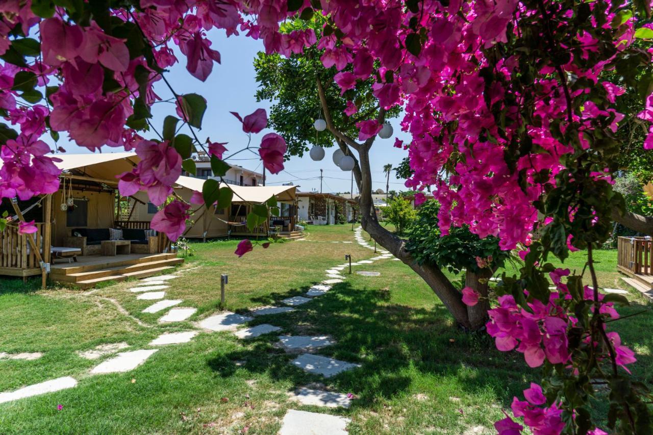 Logos Beach Village Theológos Extérieur photo